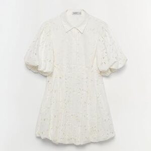 Cleo Embroidered Mini Dress Cleo Embroidered Mini Dress